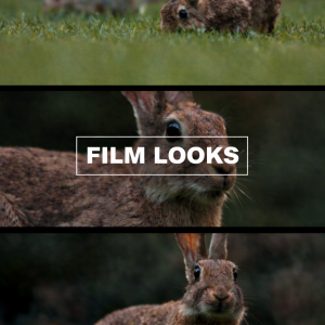 Professional BMPCC Presets for Final Cut Pro