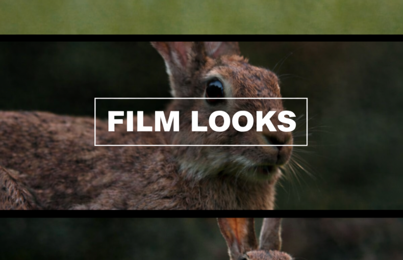 Professional BMPCC Presets for Final Cut Pro