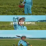 BMPCC 4K/6K Cinematic LUTs: BRAW & ProRes - DaVinci Resolve, Premiere, FCP