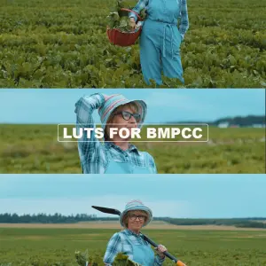 BMPCC 4K/6K Cinematic LUTs: BRAW & ProRes - DaVinci Resolve, Premiere, FCP