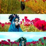 BMPCC 4K/6K LUTs: BRAW & ProRes Color Grading (Digital Download)