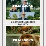 Cinematic LUTs: RED IPP2 Workflow, Color Grading (Digital Download)