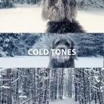 Cinematic LUTs Bundle – Sony S-Log3 & Blackmagic BMPCC 4K/6K